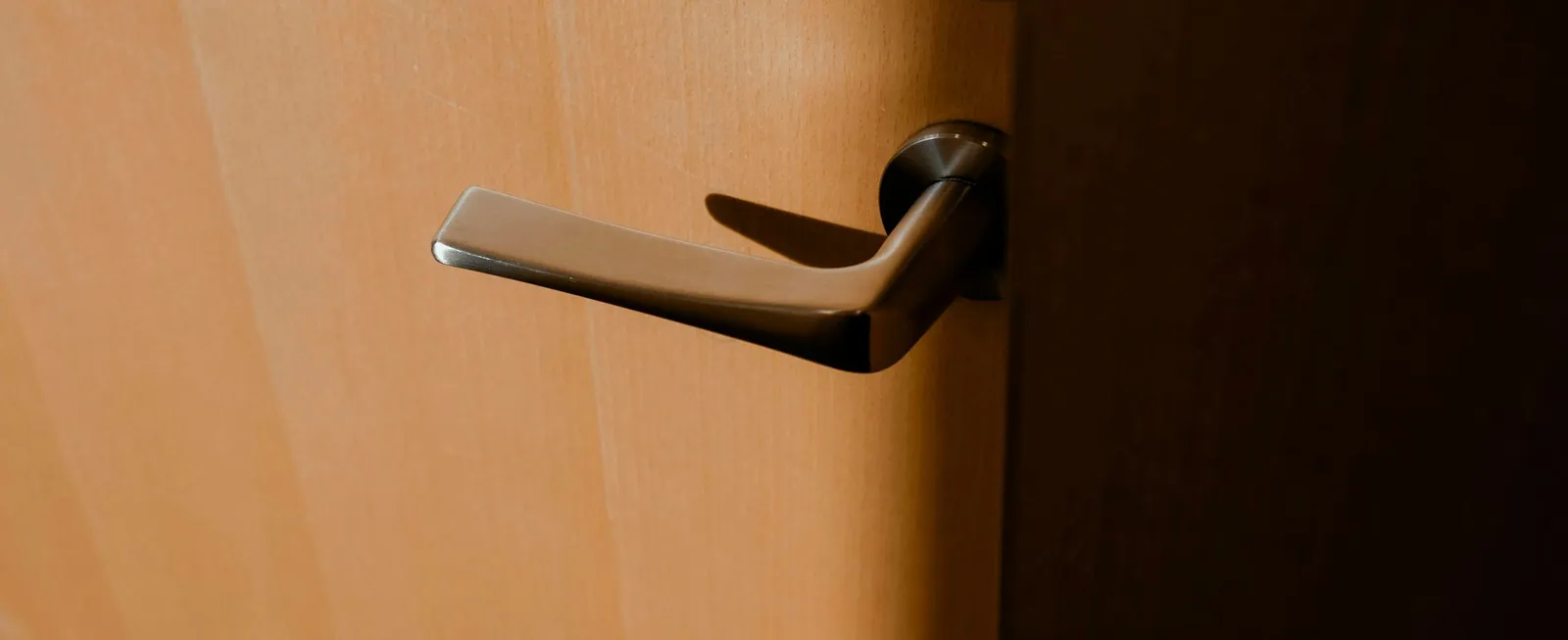 Standard interior lever handle on a wooden door